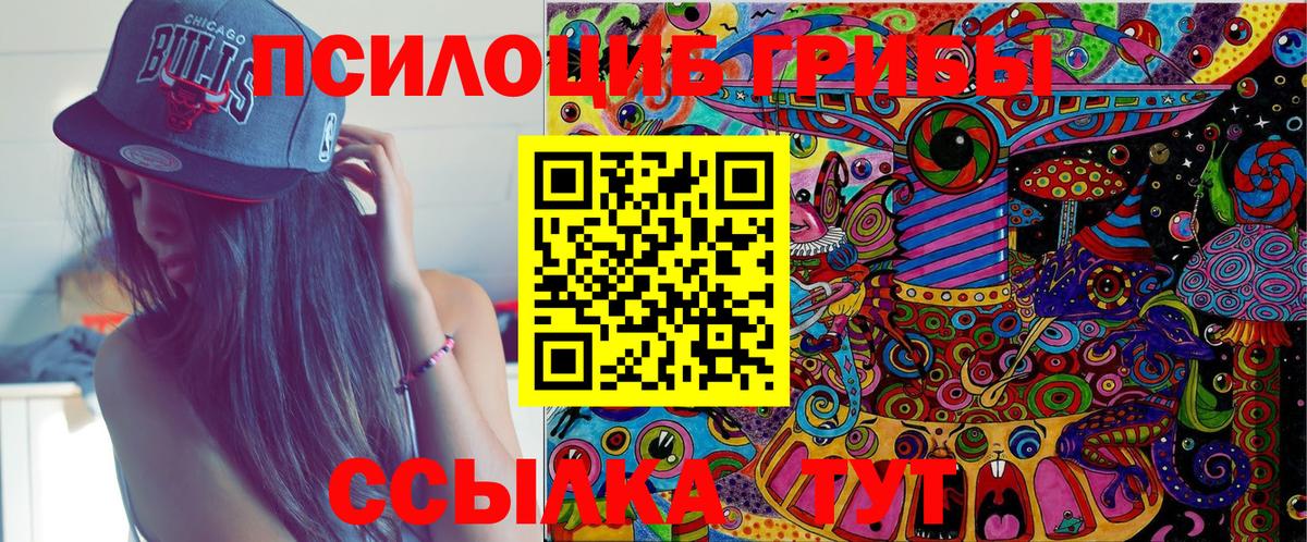 Галлюциногенные грибы Cubensis  хочу   Нальчик  Вход с VPN 